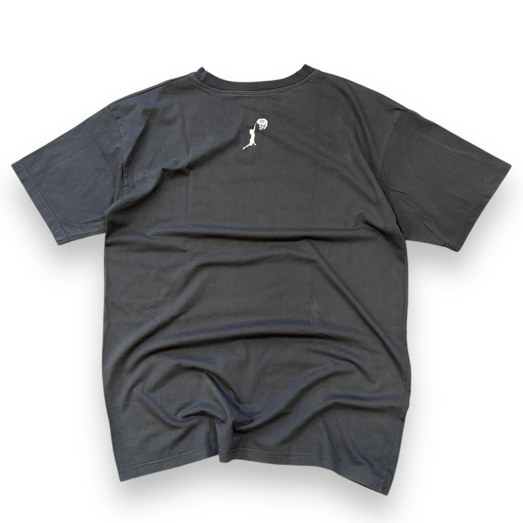 00s Mountain Hardwear T shirt (L)