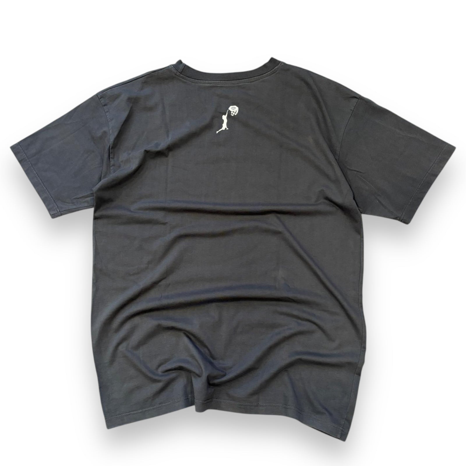 00s Mountain Hardwear T shirt (L)