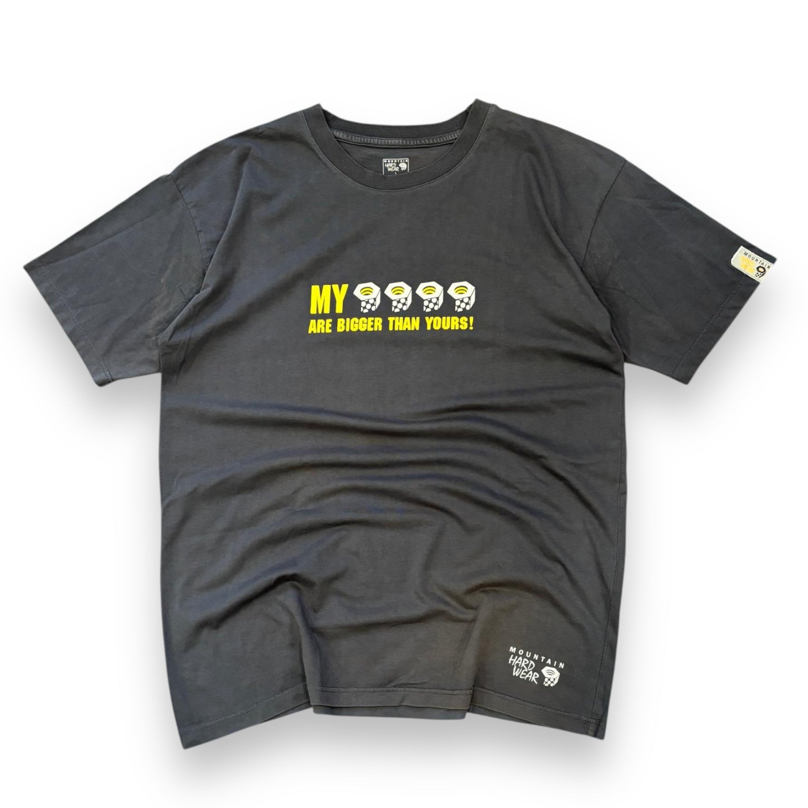 00s Mountain Hardwear T shirt (L)