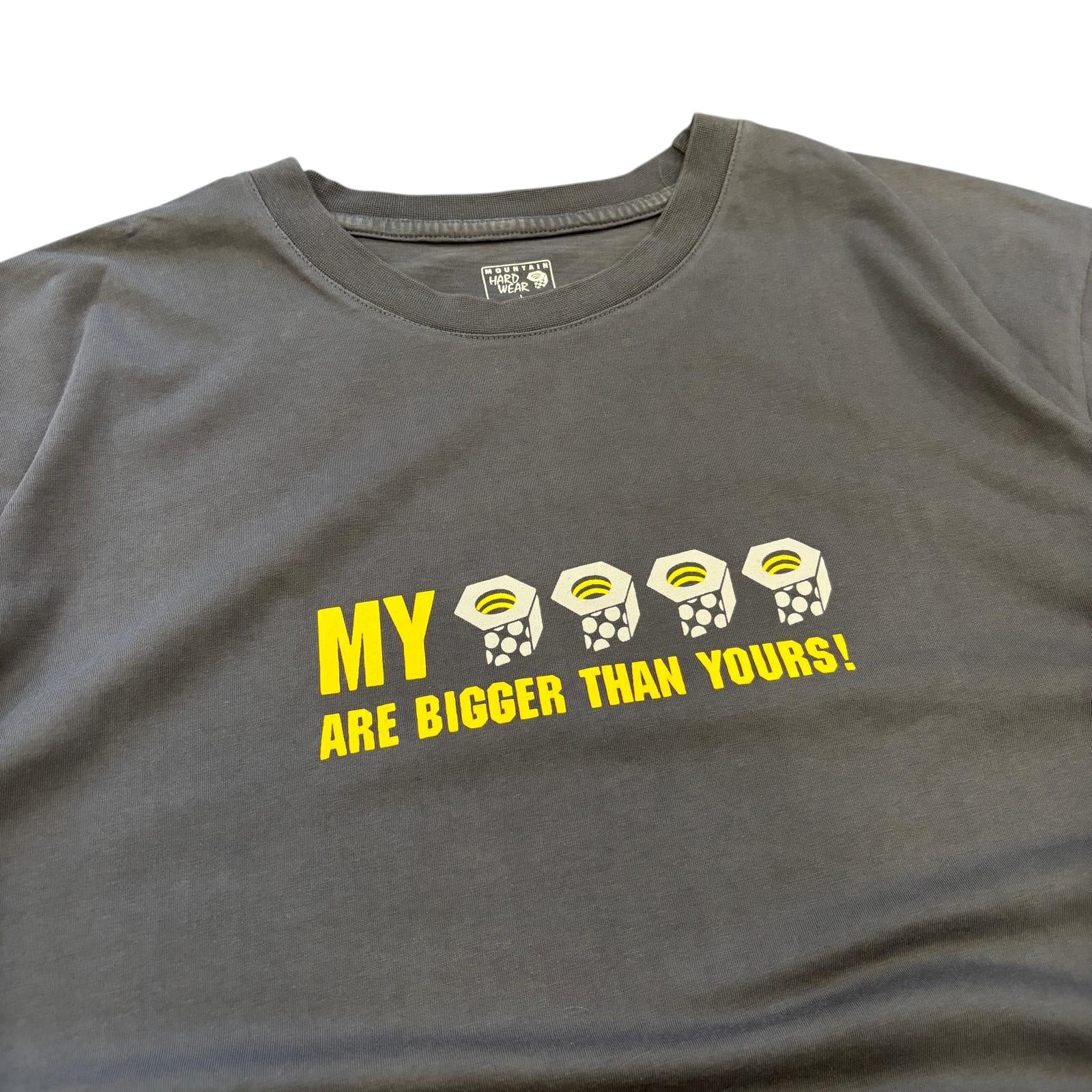 00s Mountain Hardwear T shirt (L)