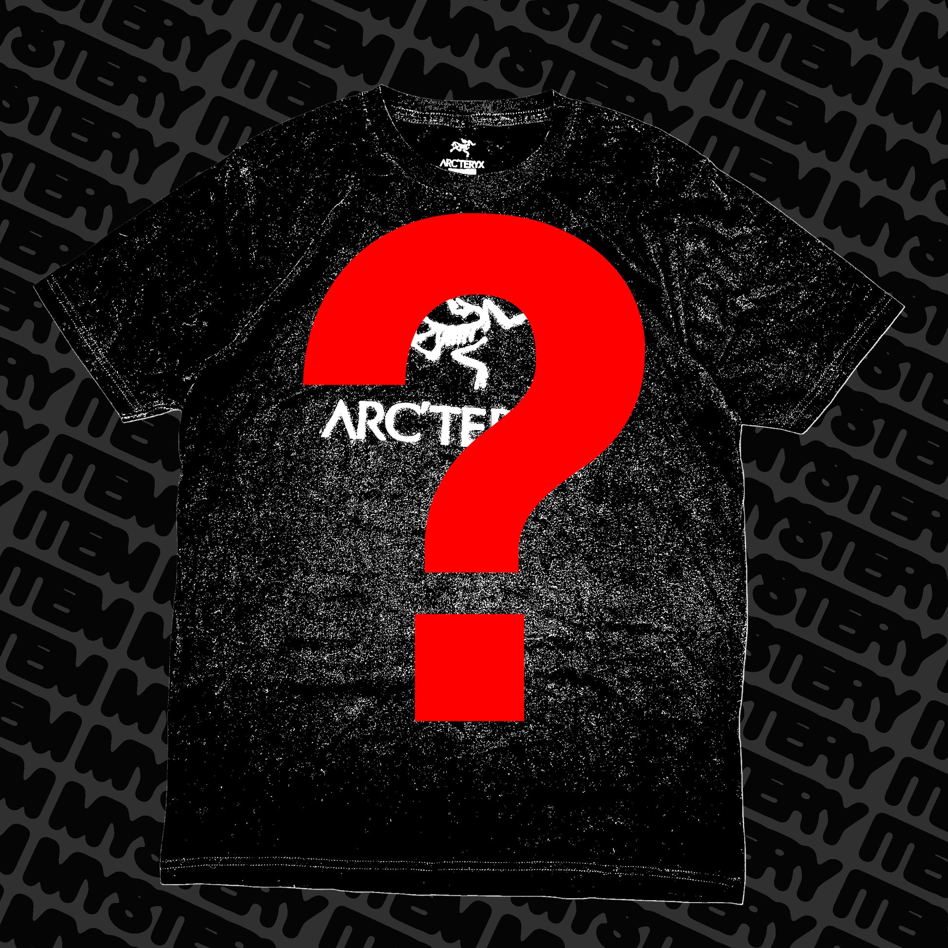 Black Arc'teryx Bird T-Shirt (M)