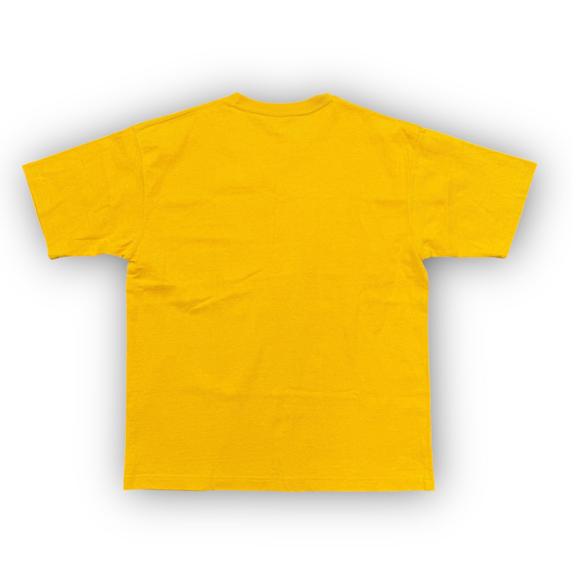 Avirex Graphic T-Shirt (M)
