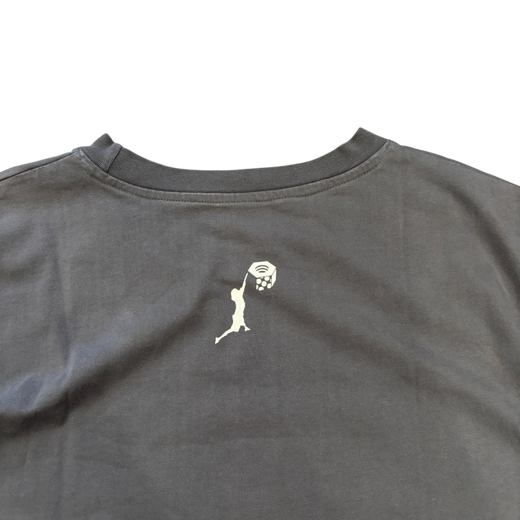 00s Mountain Hardwear T shirt (L)