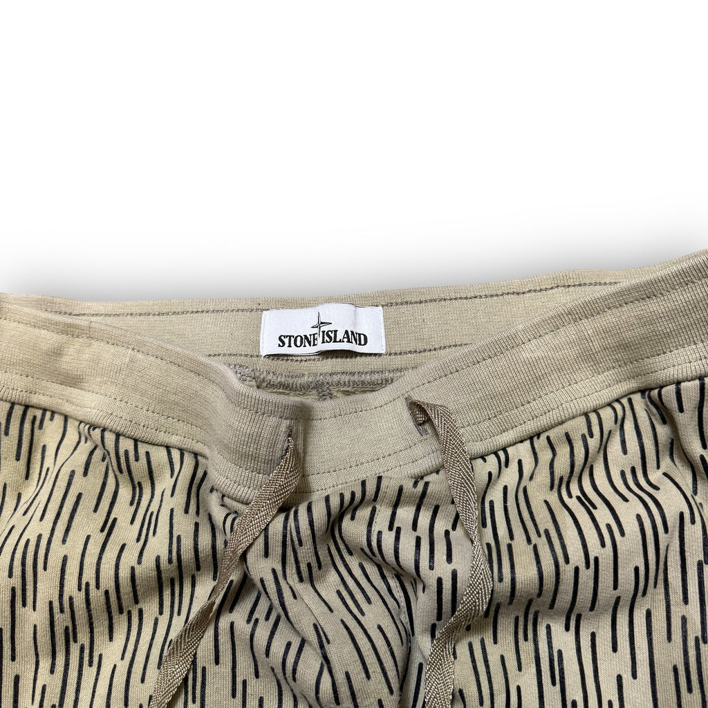 2021 Stone Island Rain Camo Cargo Joggers (S)
