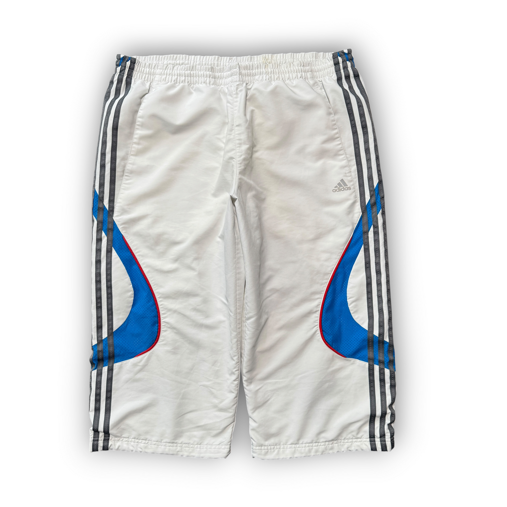Adidas Shorts (L)